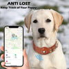 MyHappyPetStore™ Airtag Dog Collar